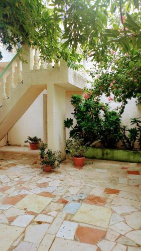 حديقة, Apartahotel carla in بوكا شيكا حديقة, Apartahotel carla in بوكا شيكا