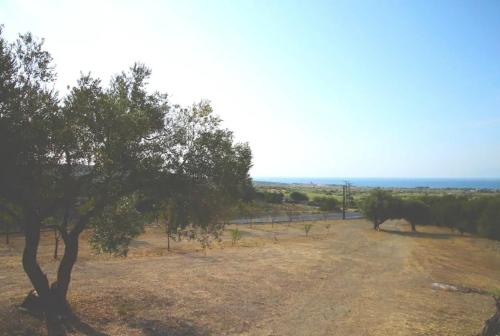 Country House at Alexandroupoli (Dikella) in Komotini Country House at Alexandroupoli (Dikella) in Komotini