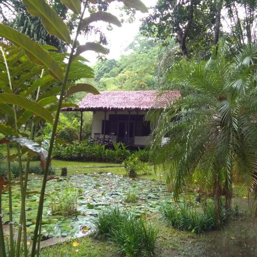 Kuda Laut Resort in Pelabuhan Ratu Kuda Laut Resort in Pelabuhan Ratu