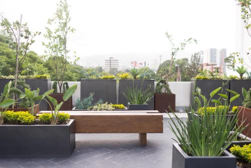 View, La Inmaculada Hotel in Guatemala City View, La Inmaculada Hotel in Guatemala City