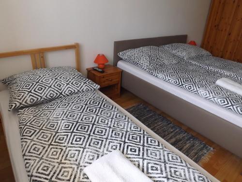 This photo about Arielle Panzio shared on HyHotel.com