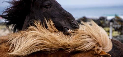 This photo about The Bookstore Family Apartment shared on HyHotel.com