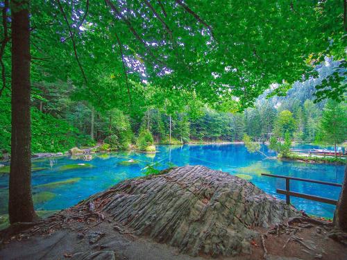 Kilátás, Hotel & Spa Blausee in Kandergrund Kilátás, Hotel & Spa Blausee in Kandergrund