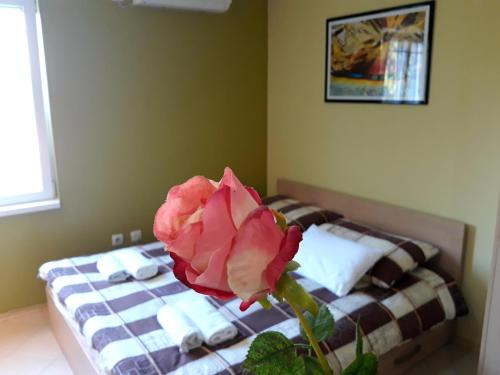Apartments Popovic in Belgrad Apartments Popovic in Belgrad