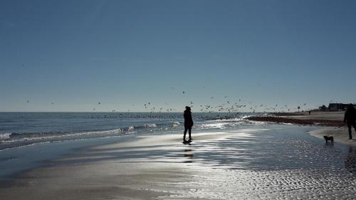 Beach, Haus Seeblick in Dahme Beach, Haus Seeblick in Dahme