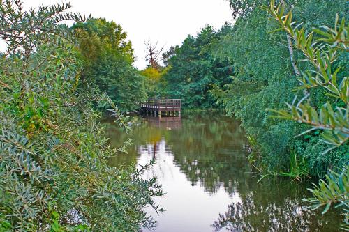 This photo about IRS ROYAL APARTMENTS Apartamenty IRS Nadmorski Dwor shared on HyHotel.com