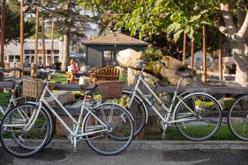 在meiguo.com看到的Alamo Motel的介绍图片