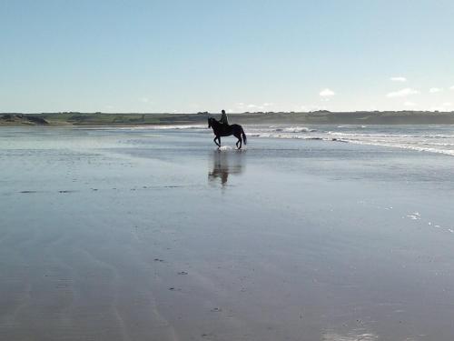 This photo about Glenart House shared on HyHotel.com