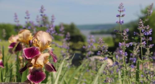 在meiguo.com看到的The Inn on Lake Champlain的介绍图片
