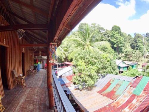 Roots Travel Hostel
