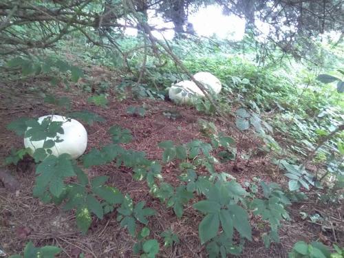 This photo about Rybvelvet shared on HyHotel.com