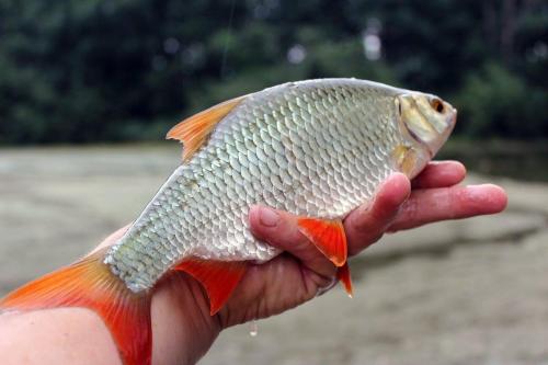 This photo about Rybvelvet shared on HyHotel.com