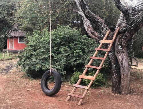 This photo about Maasai Simba Camp shared on HyHotel.com