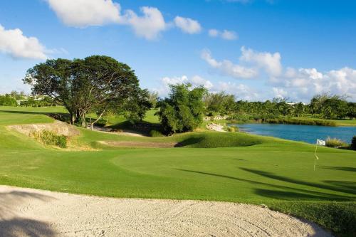 Campo de golf en el alojamiento, David's Place in Christ Church Campo de golf en el alojamiento, David's Place in Christ Church
