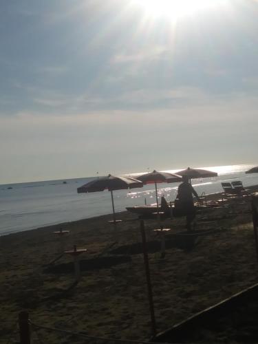 Beach, Casa vacanze "Il Mare" in Mondolfo Beach, Casa vacanze "Il Mare" in Mondolfo