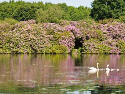 Facilities, Killyliss Country House in Monaghan Facilities, Killyliss Country House in Monaghan