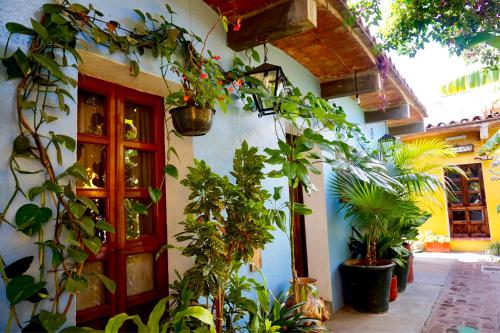 Exterior view, Hotel Las Golondrinas in Oaxaca Exterior view, Hotel Las Golondrinas in Oaxaca