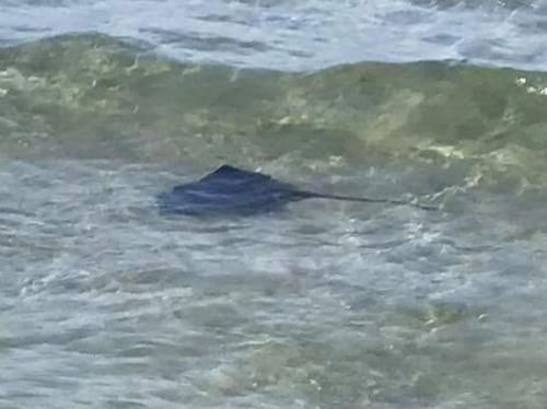 This photo about Hotel Meuble Corallo shared on HyHotel.com