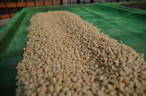 This photo about Sun Dance B&B shared on HyHotel.com