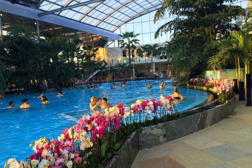 Aquapark, Kopel Haus - Studio - Self acces cod location in Cartierul Obor Aquapark, Kopel Haus - Studio - Self acces cod location in Cartierul Obor