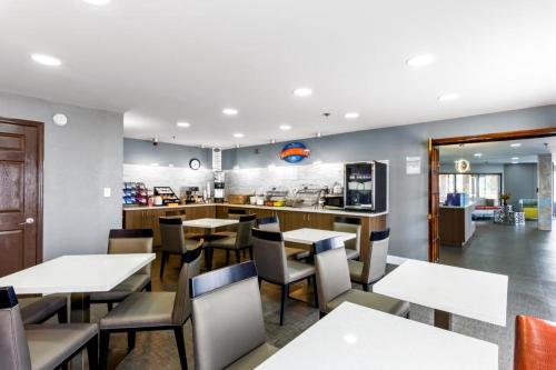 餐飲選擇, 傑克遜貝蒙特套房酒店 (Baymont by Wyndham Jackson) in 田納西傑克遜 (TN) 餐飲選擇, 傑克遜貝蒙特套房酒店 (Baymont by Wyndham Jackson) in 田納西傑克遜 (TN)