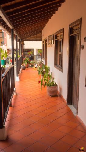 Finca Hotel Cafetos in La Frontera Finca Hotel Cafetos in La Frontera