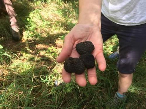 This photo about Villa delle Rose - Hotel Paradiso shared on HyHotel.com