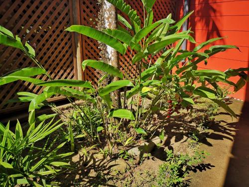 This photo about Hostal Antorchas shared on HyHotel.com