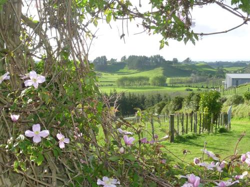Garden, A Touch of Tuscany at Hillsborough in Tarurutangi Garden, A Touch of Tuscany at Hillsborough in Tarurutangi