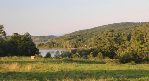 在meiguo.com看到的The Inn on Lake Champlain的介绍图片