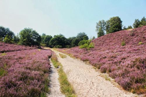 This photo about Hotel De Maretak shared on HyHotel.com