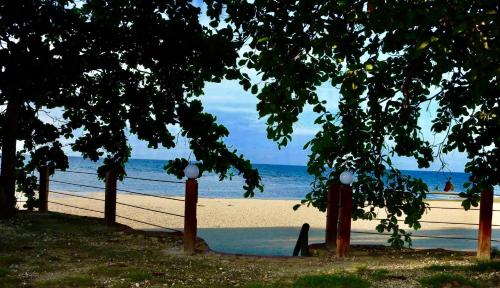 Beach, D's Oceanview Beach Resort in Siquijor Beach, D's Oceanview Beach Resort in Siquijor