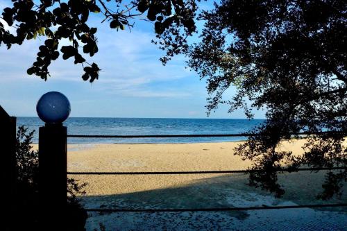 Beach, D's Oceanview Beach Resort in Siquijor Beach, D's Oceanview Beach Resort in Siquijor