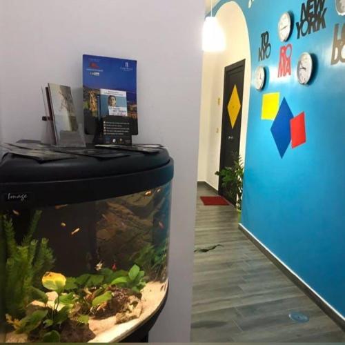 This photo about B&B City Center shared on HyHotel.com