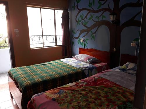 Transilvania in Banos Transilvania in Banos