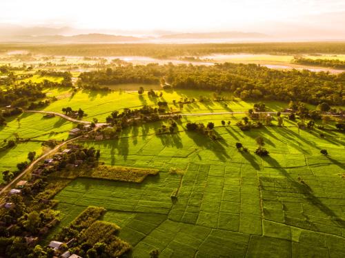 Surrounding environment, Bardiya Community Homestay in Bardia Surrounding environment, Bardiya Community Homestay in Bardia