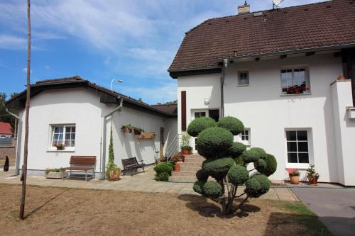 Kert, Penzion Olga in Hamrniky Kert, Penzion Olga in Hamrniky