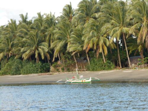 Gaga Haus on the Beach in Cauayan (Negros Occidental) Gaga Haus on the Beach in Cauayan (Negros Occidental)