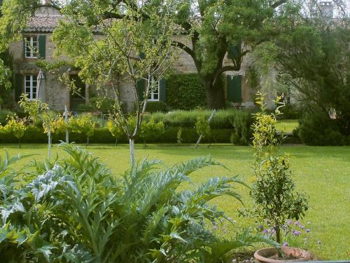 Exterior view, La Maison Du Village in Montlaur Exterior view, La Maison Du Village in Montlaur