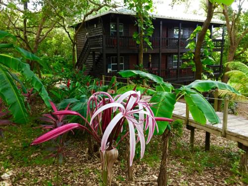 Upachaya Eco-Lodge & Wellness Resort