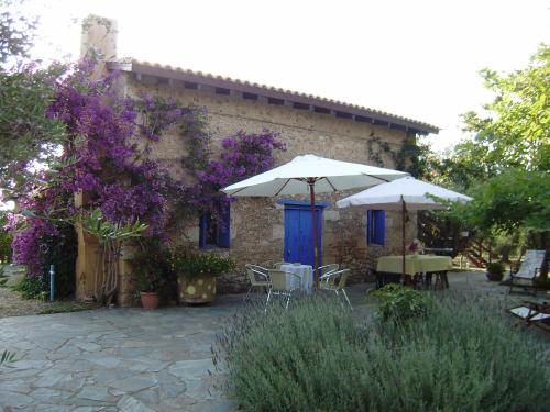 ทางเข้า, Mercouri stone cottage in โคราคอโคเรียน ทางเข้า, Mercouri stone cottage in โคราคอโคเรียน