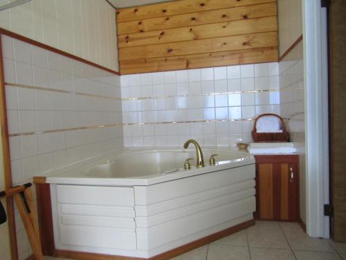 在meiguo.com看到的Captain's Choice Motel的介绍图片