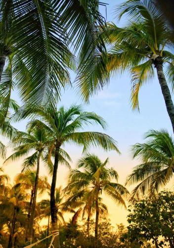 This photo about Agua Eco Design Hotel shared on HyHotel.com