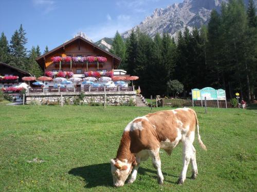 Hotel Gasthof Edelbrunn