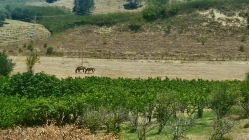 This photo about La Dimora Degli Artisti shared on HyHotel.com