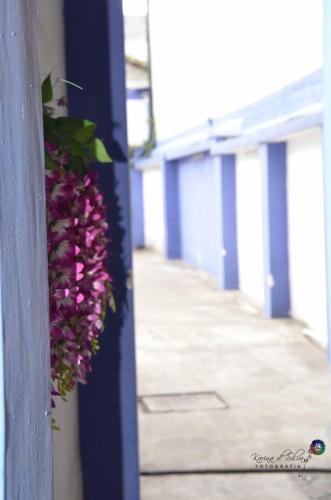 Hostal Alua Rio in ลากอนเซปซิออน Hostal Alua Rio in ลากอนเซปซิออน