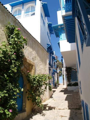 Entrada, Dar Fatma in Sidi Bou Said Entrada, Dar Fatma in Sidi Bou Said