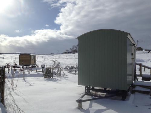 The Buteland Stop Rosie off grid Shepherds Hut in Selkirk The Buteland Stop Rosie off grid Shepherds Hut in Selkirk