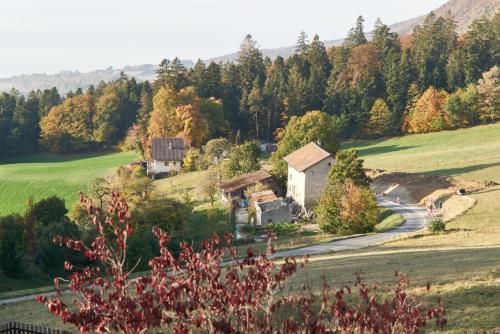 景觀, La Petite Fleur in 恩格斯 景觀, La Petite Fleur in 恩格斯