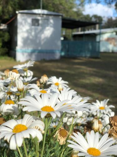 Surrounding environment, Lazy Days Caravan Park in Margaret River Surrounding environment, Lazy Days Caravan Park in Margaret River